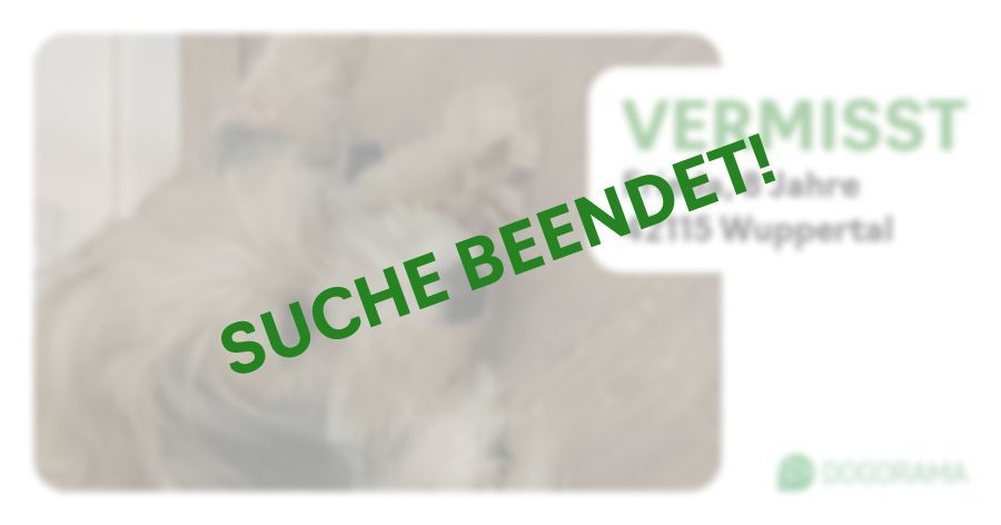 Suchmeldung-Frieda-Profilbild