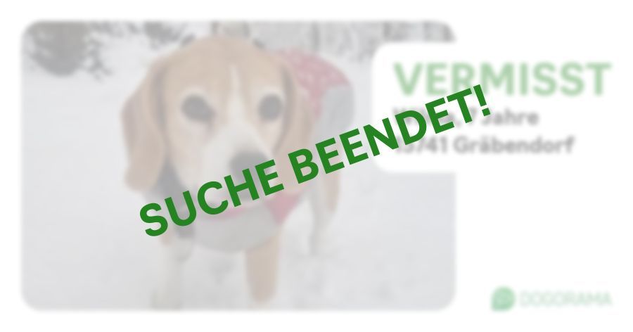 Suchmeldung-Wilma-Profilbild