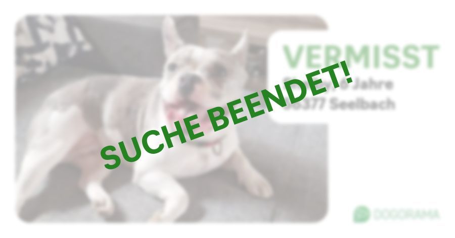 Suchmeldung-Shelby-Profilbild