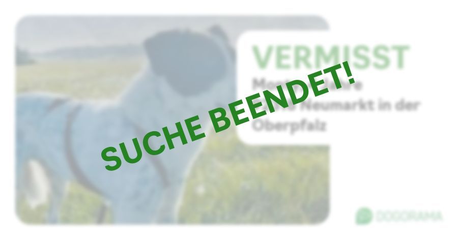 Suchmeldung-Monty-Profilbild