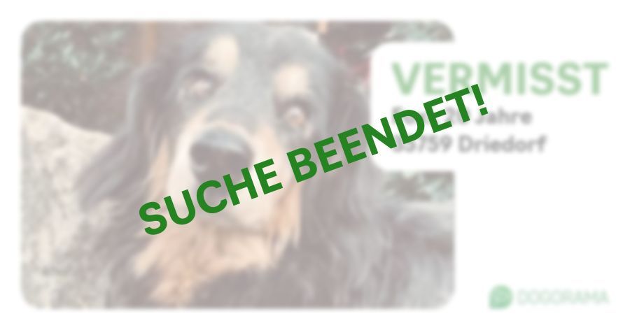 Suchmeldung-Foxi-Profilbild