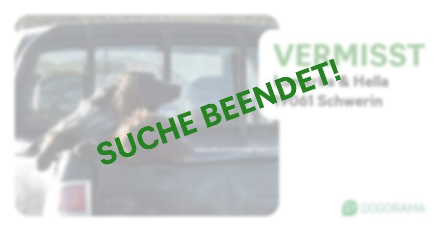 Suchmeldung-Lumarka & Hella-Profilbild
