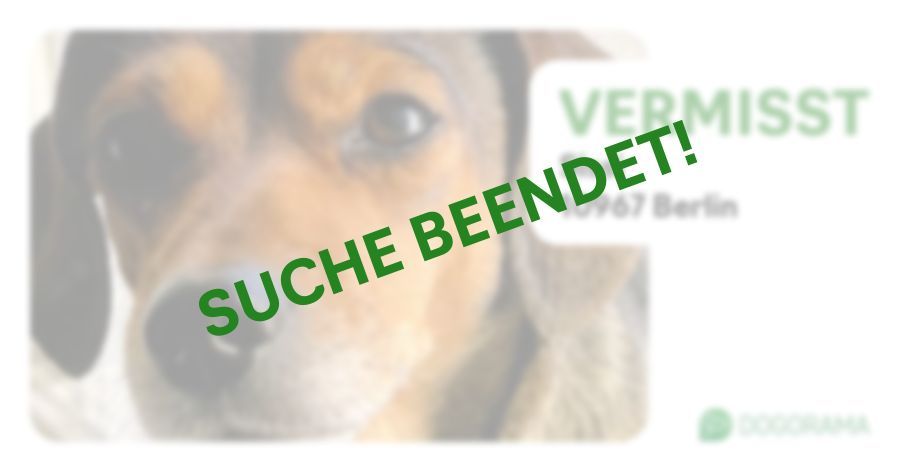 Suchmeldung-Sissi-Profilbild