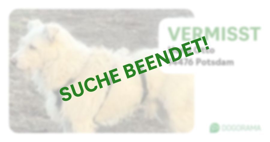 Suchmeldung-Hund Otto-Profilbild