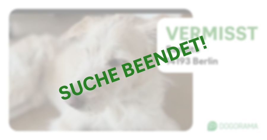 Suchmeldung-Bandito-Profilbild