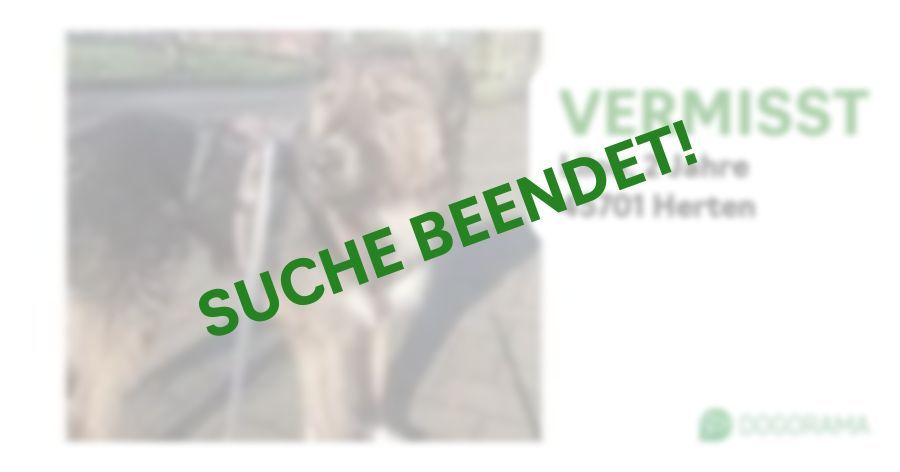 Suchmeldung-Lilou-Profilbild