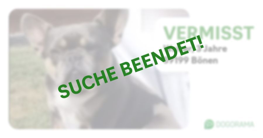 Suchmeldung-Walter-Profilbild