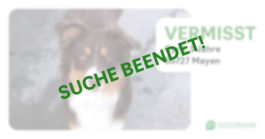 Suchmeldung-Cyril-Profilbild