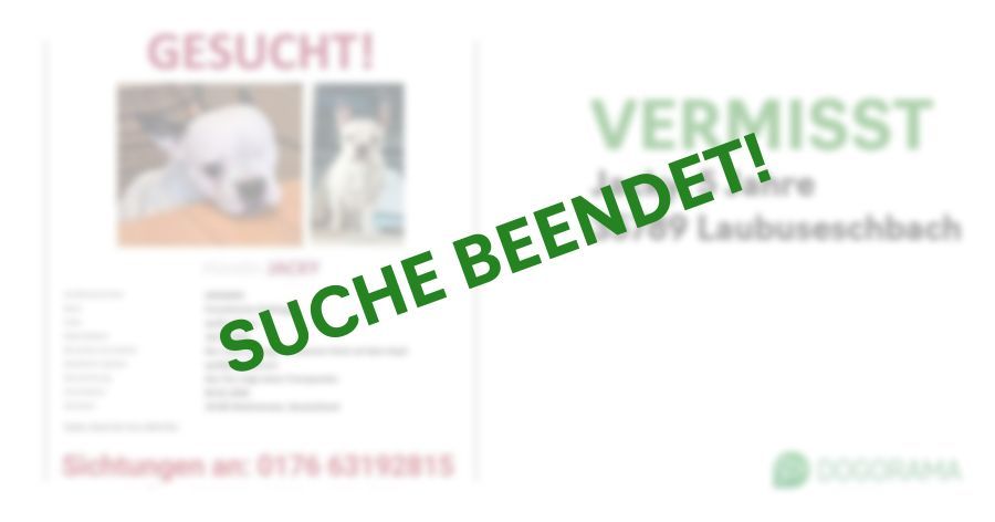 Suchmeldung-Jacky-Profilbild