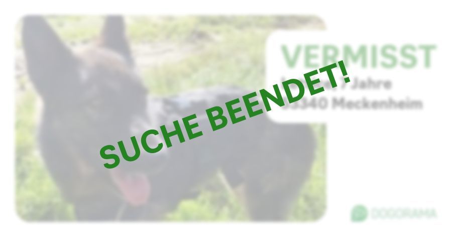 Suchmeldung-Lettice-Profilbild