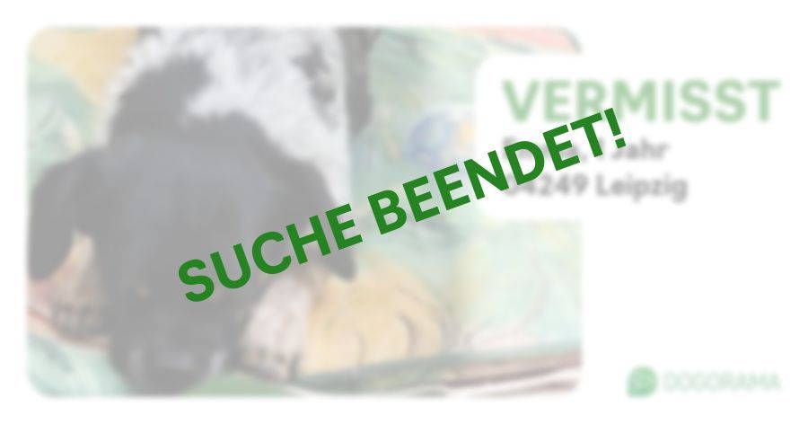 Suchmeldung-Emma-Profilbild