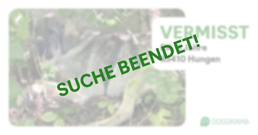 Suchmeldung-Elli-Profilbild