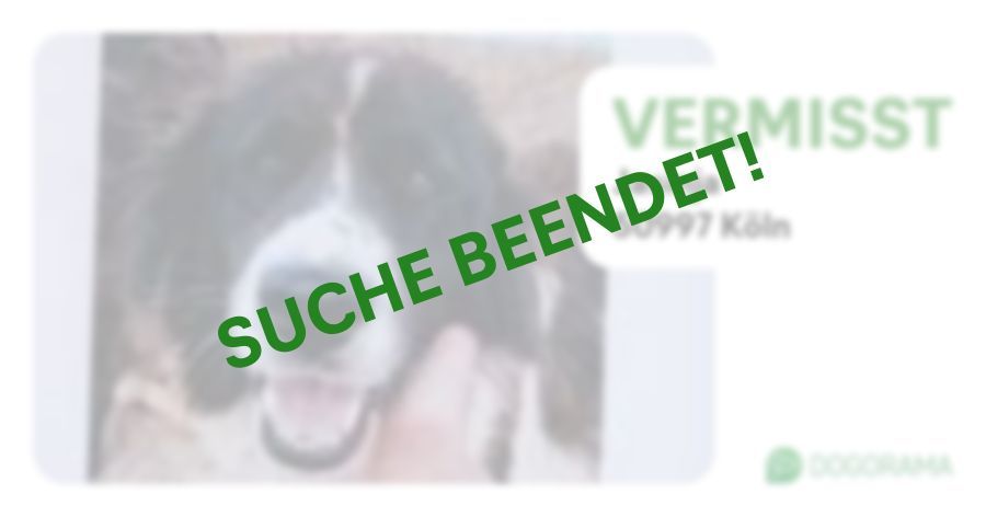 Suchmeldung-Jasinja-Profilbild