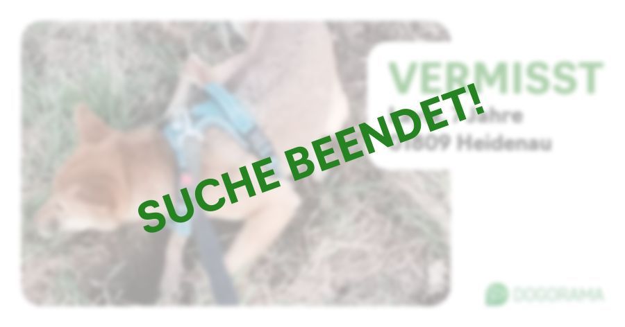 Suchmeldung-Layla-Profilbild