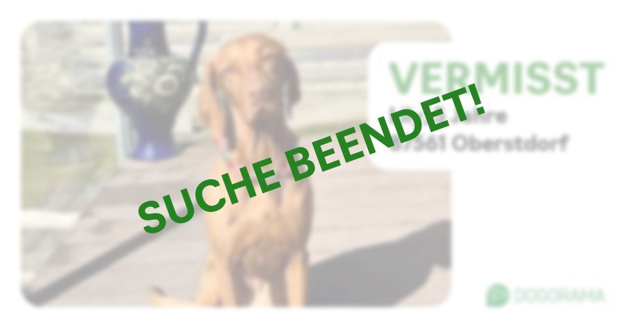 Suchmeldung-Lily-Profilbild