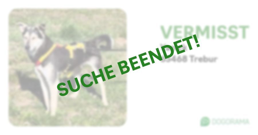 Suchmeldung-Yanick-Profilbild