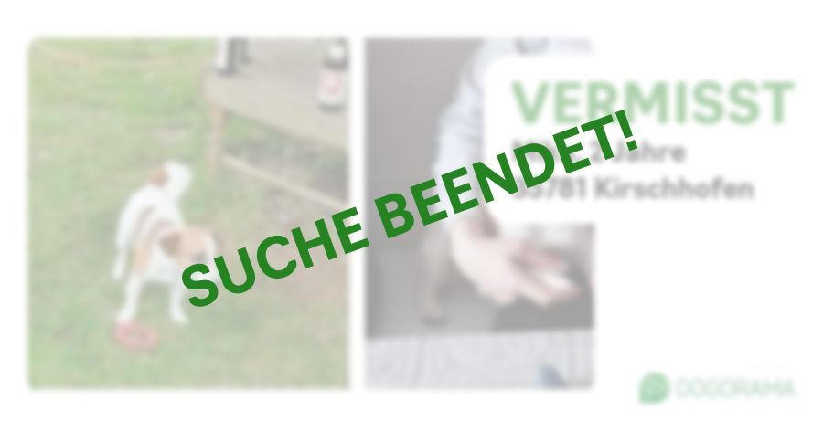 Suchmeldung-Mika-Profilbild