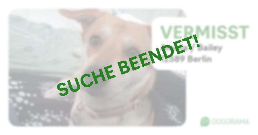 Suchmeldung-Amalia / Bailey-Profilbild