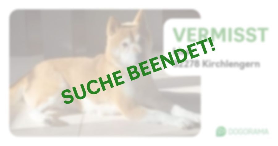 Suchmeldung-Lissi-Profilbild