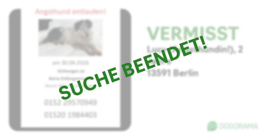 Suchmeldung-Lucy (Angsthündin!)-Profilbild