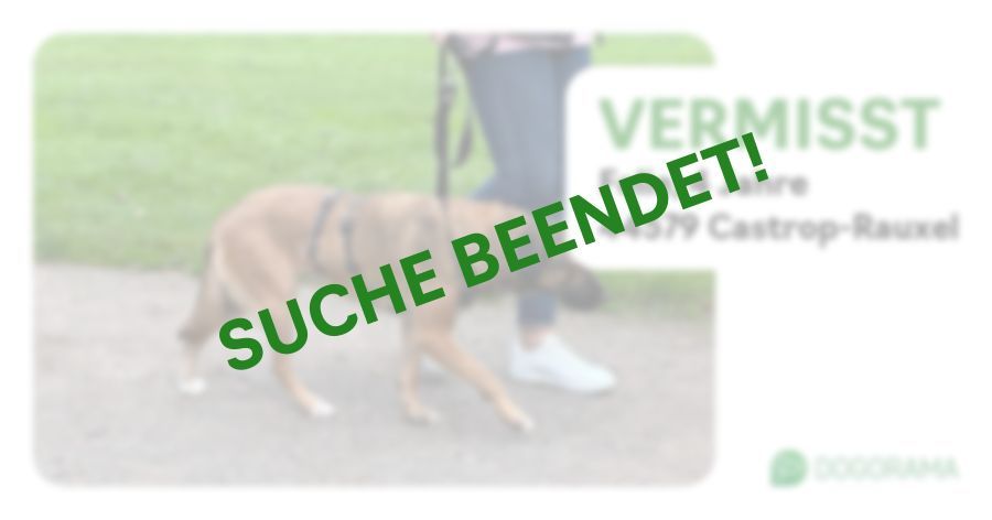 Suchmeldung-Felie-Profilbild