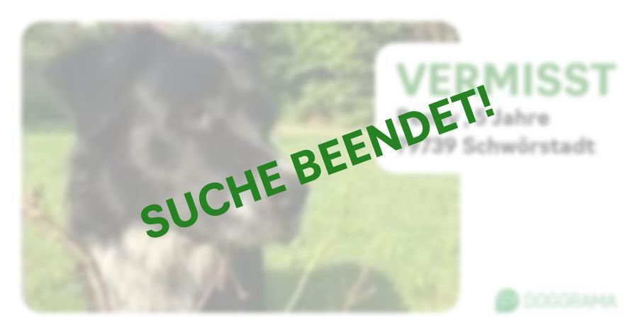 Suchmeldung-Penny -Profilbild