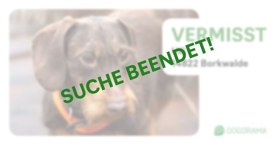 Suchmeldung-Ulli-Profilbild