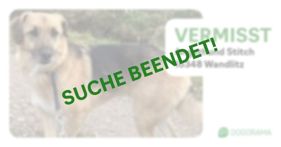 Suchmeldung-Angsthund Stitch-Profilbild