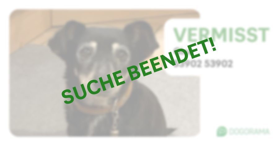 Suchmeldung-Gina-Profilbild