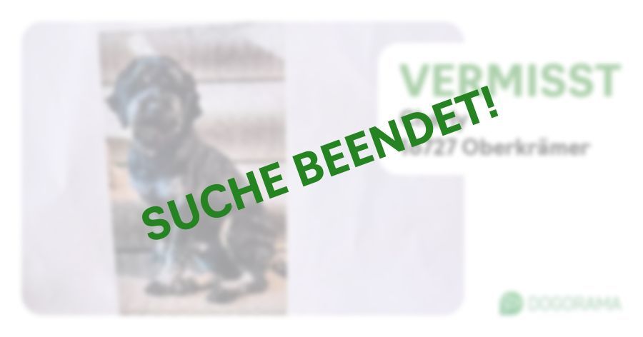 Suchmeldung-Charly-Profilbild