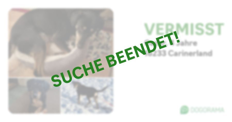 Suchmeldung-Cezar-Profilbild