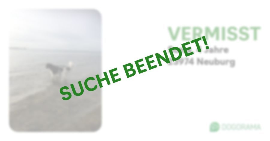 Suchmeldung-Suma-Profilbild