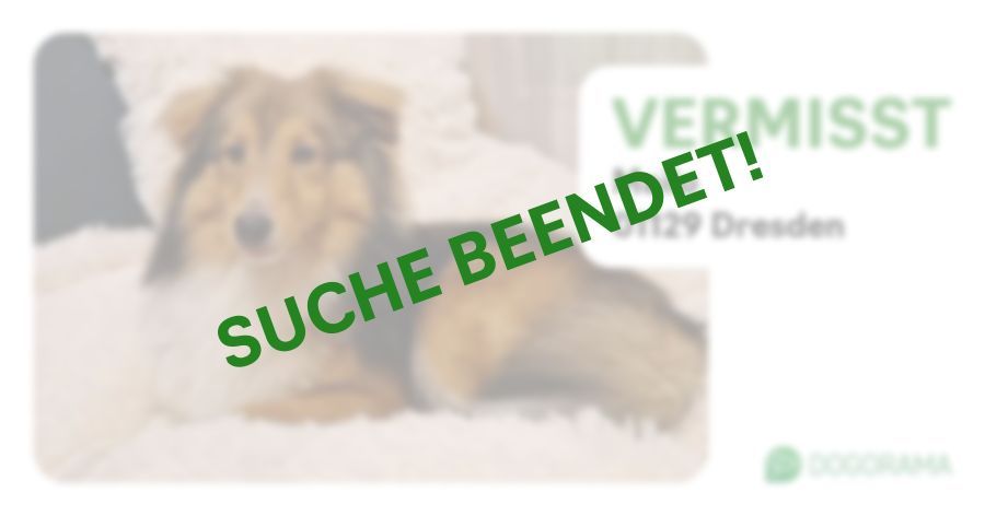 Suchmeldung-Mailo-Profilbild