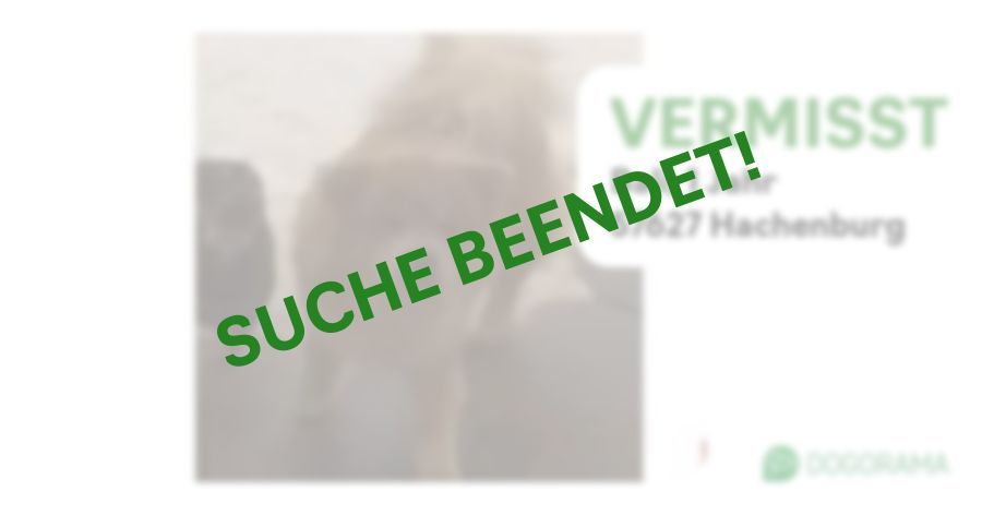 Suchmeldung-Bali-Profilbild