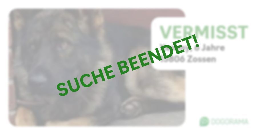 Suchmeldung-Xemmy-Profilbild