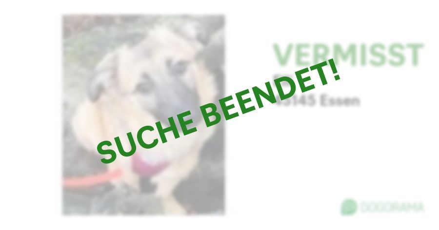 Suchmeldung-Elli-Profilbild