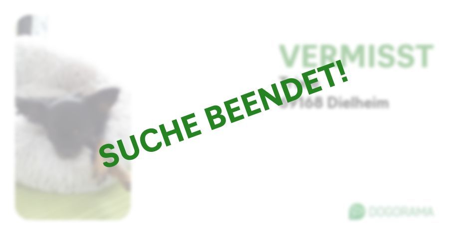 Suchmeldung-Trixie-Profilbild