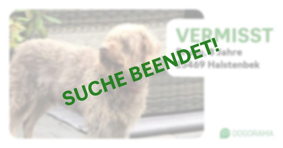 Suchmeldung-Bruno-Profilbild