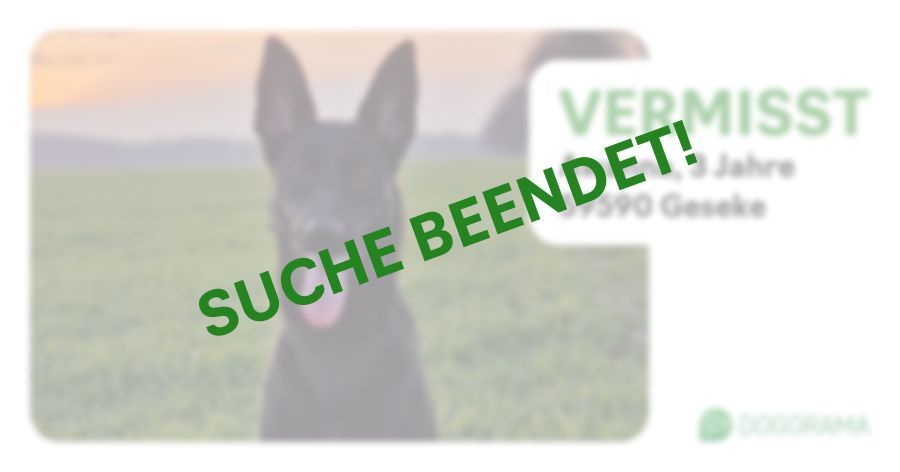 Suchmeldung-Awanna-Profilbild