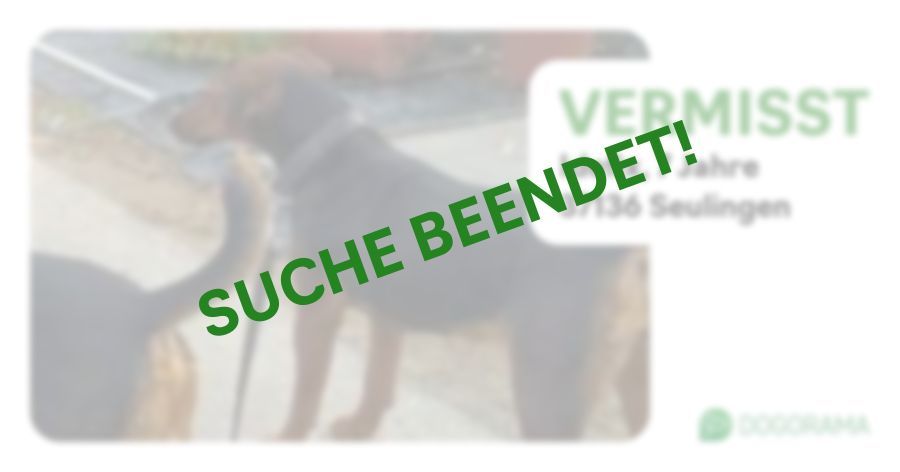 Hund Idefix wird in Seulingen vermisst! Dogorama App