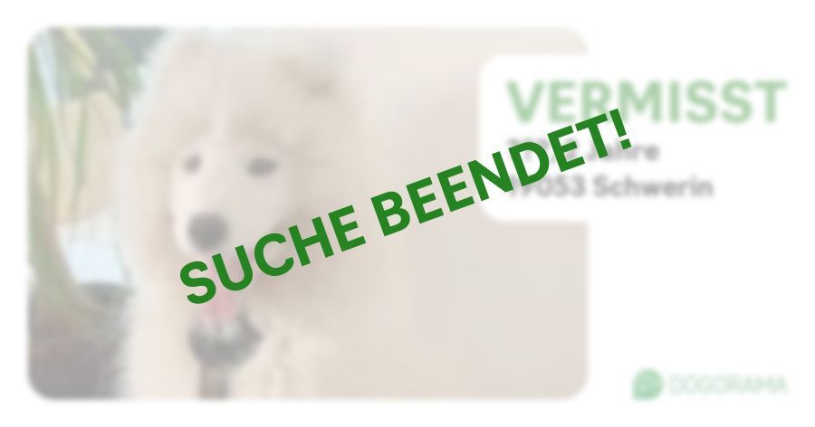 Hund ??? wird in Schwerin vermisst! Dogorama App