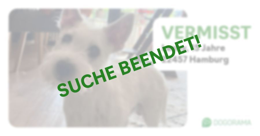 Hund Lenny wird in Hamburg vermisst! Dogorama App